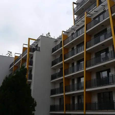 Luxury In Apartamento